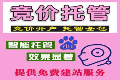 成功SEM服务案例分析报告